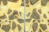 Beautiful Septarian Bookends - Utah #288947-1